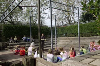 Natuurdag scouting (4)