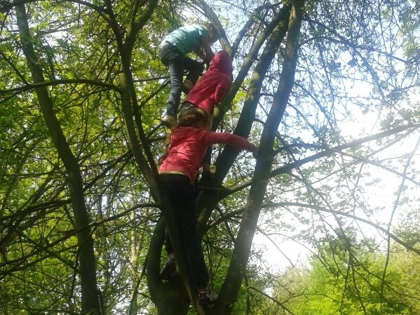 Zelfstandig worden gaat in stapjes