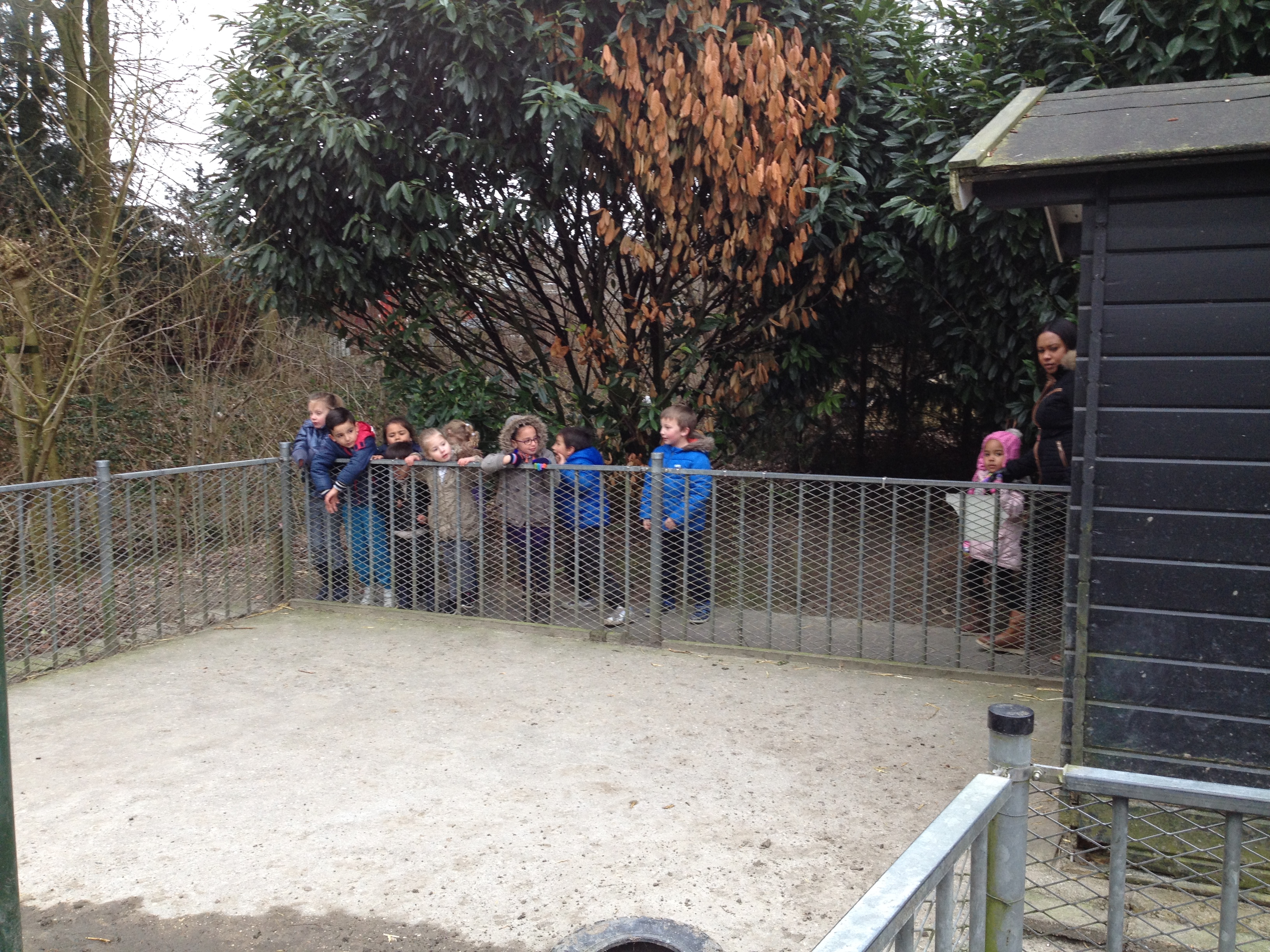 Bezoek kinderboerderij 