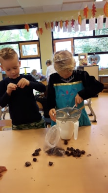 Tamme kastanjes verwerken (1)