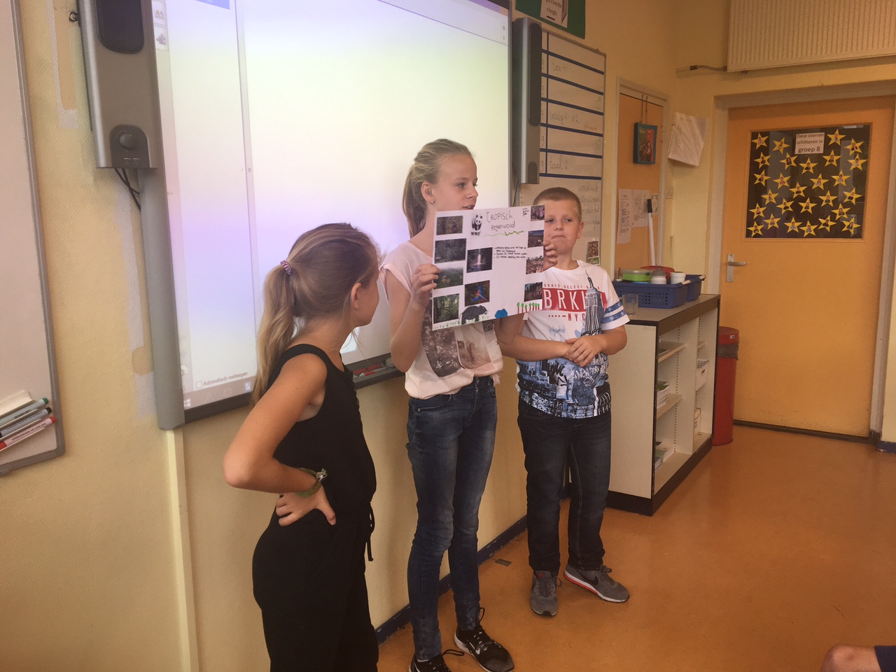 biologieles het tropisch regenwoud