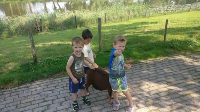 IMG_20180529_103944_01