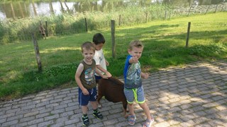 IMG_20180529_103944_01